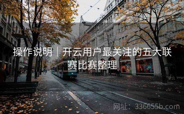 操作说明｜开云用户最关注的五大联赛比赛整理