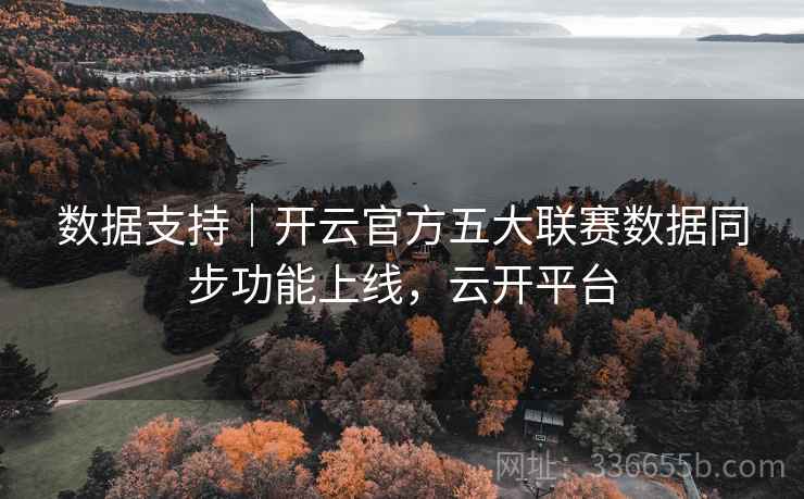 数据支持｜开云官方五大联赛数据同步功能上线，云开平台