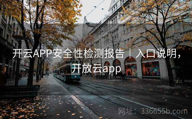 开云APP安全性检测报告｜入口说明，开放云app