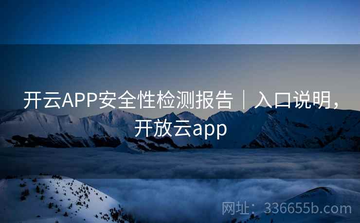 开云APP安全性检测报告｜入口说明，开放云app