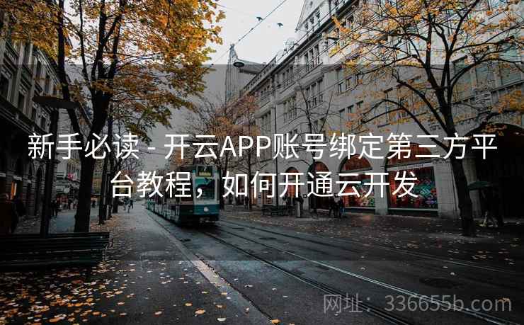 新手必读 - 开云APP账号绑定第三方平台教程，如何开通云开发